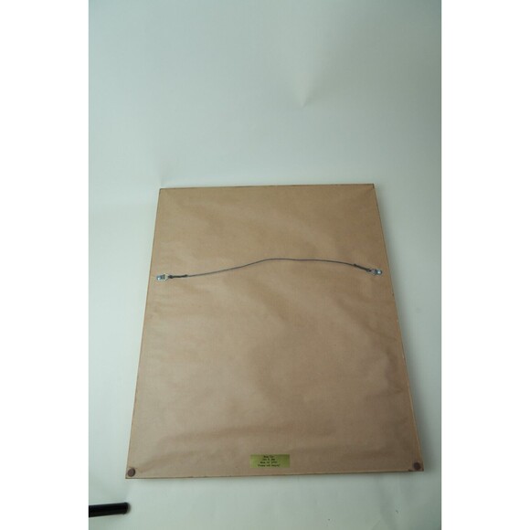 Soviet Union Waterfowl Stamps 1989-1991 | Gold-Framed Display Page | Collectible - Picture 14 of 16